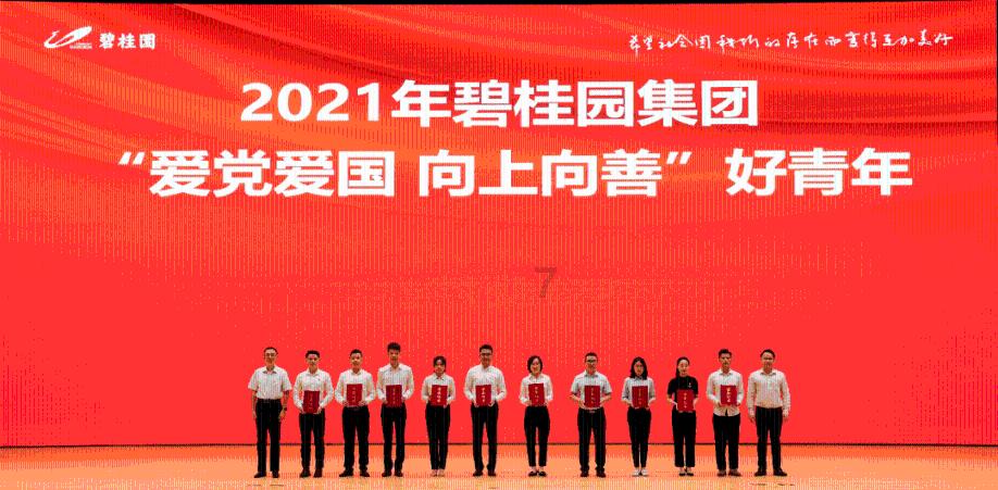 直升机大战